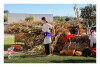 Desfolhada Tradicional_ LNSM-CD_ 2026 (20)