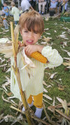 Desfolhada tradicional_ CSCMENC_EI_ 18