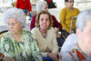 Desfolhada tradicional_ LNSM_ CD_ 13