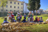 Desfolhada Tradicional_ CIB_ Sala 3 (7)