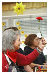 25 ABRIL_ LM_LRDL_ 27