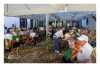 Desfolhada Tradicional_ LM-LRDL_ 2026 (17)