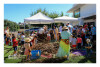 Desfolhada Tradicional_ CSCMENC_ 2026 (23)