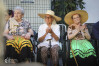 Desfolhada tradicional_ LM_LRDL_ 13