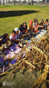Desfolhada Tradicional_ CIB_ Sala 5 (11)