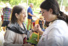 Desfolhada tradicional_ LSA_ 14