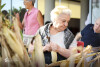 Desfolhada tradicional_ LSA_ 27
