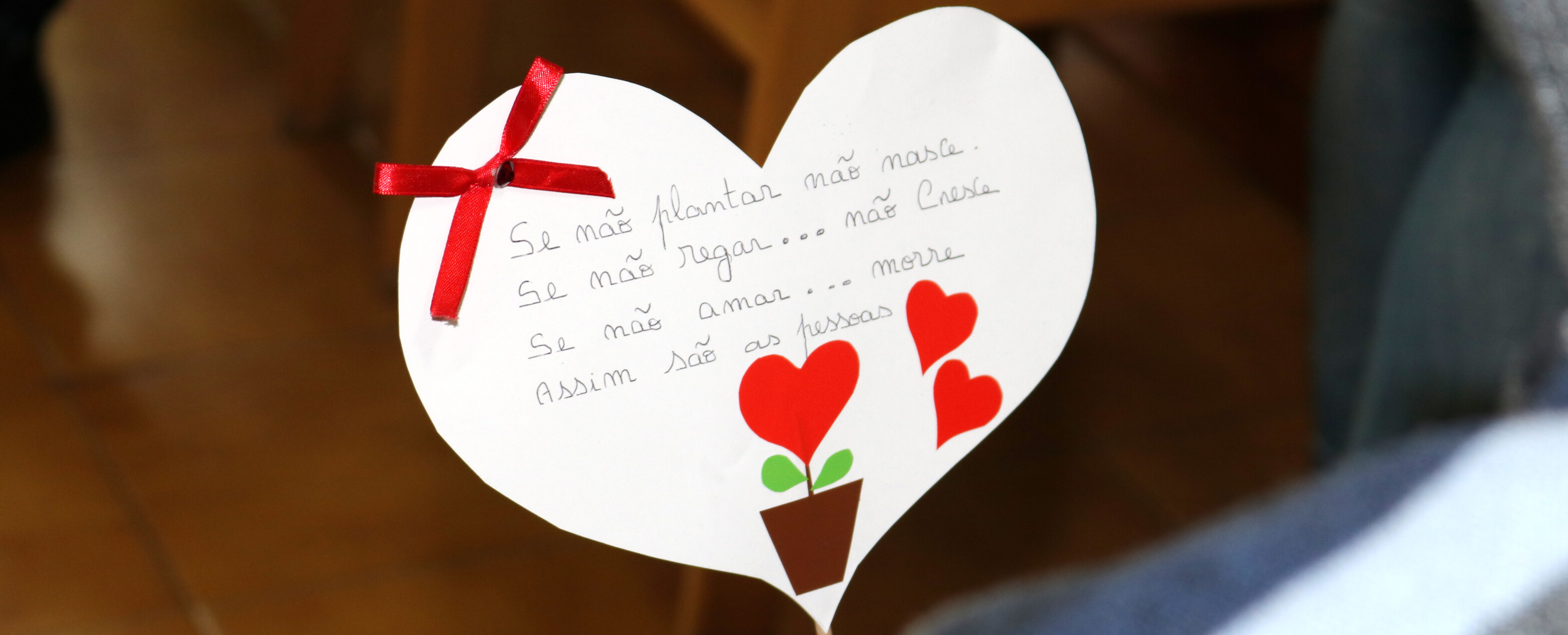 misericordia-de-barcelos-comemora-dia-dos-afetos