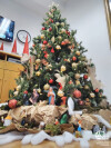 Natal_2021_CSCMENC_ERPI_003