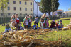 Desfolhada Tradicional_ CIB_ Sala 3 (8)