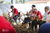Desfolhada tradicional_ UCCI_ 35