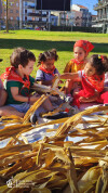 Desfolhada Tradicional_ CIB_ Sala 5 (12)