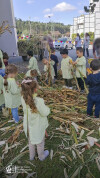 Desfolhada tradicional_ CSCMENC_EI_ 01