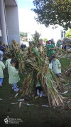 Desfolhada tradicional_ CSCMENC  (12)