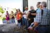 Desfolhada tradicional_ LM_LRDL_ 39