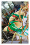 Desfolhada Tradicional_ LM-LRDL_ 2026 (18)