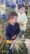 Desfolhada tradicional_ CSCMENC_EI_ 16