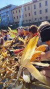 Desfolhada Tradicional_ CIB_ Sala 5 (14)