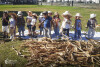 Desfolhada Tradicional_ CIB_ Sala 6 (2)