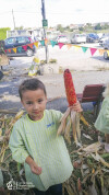 Desfolhada tradicional_ CSCMENC_EI_ 02