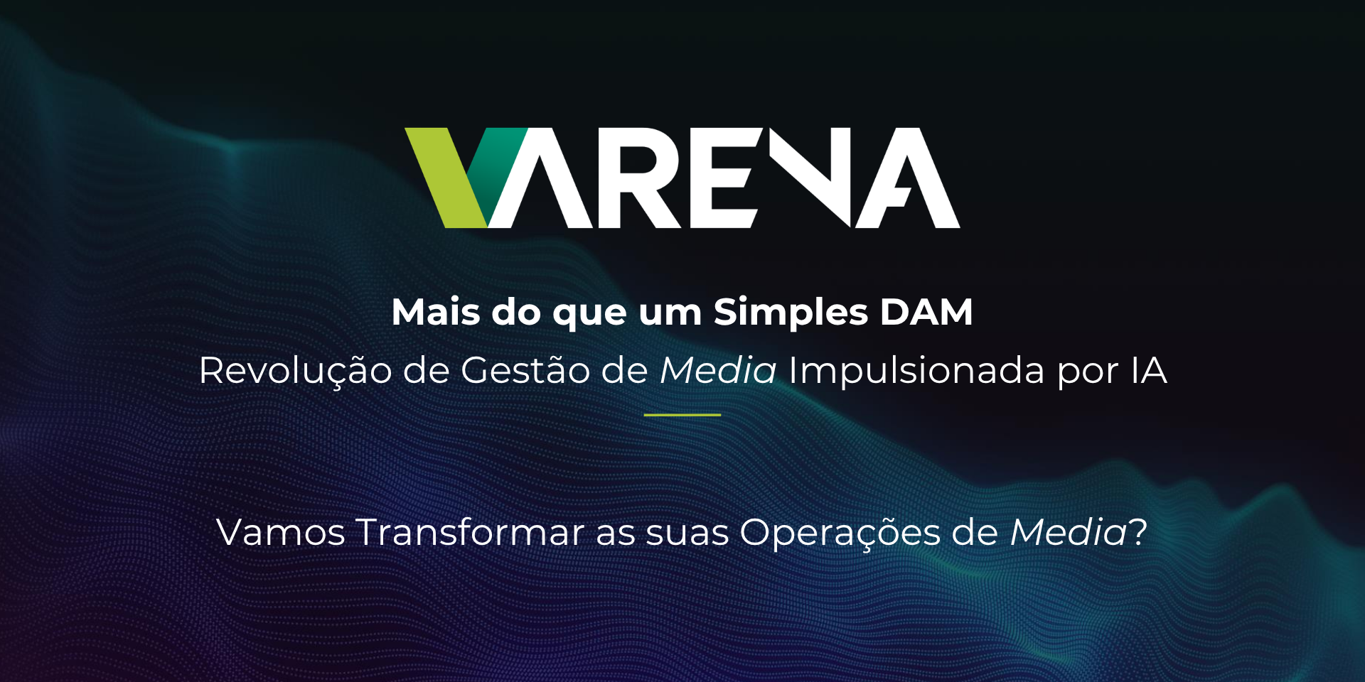 VSN Arena
