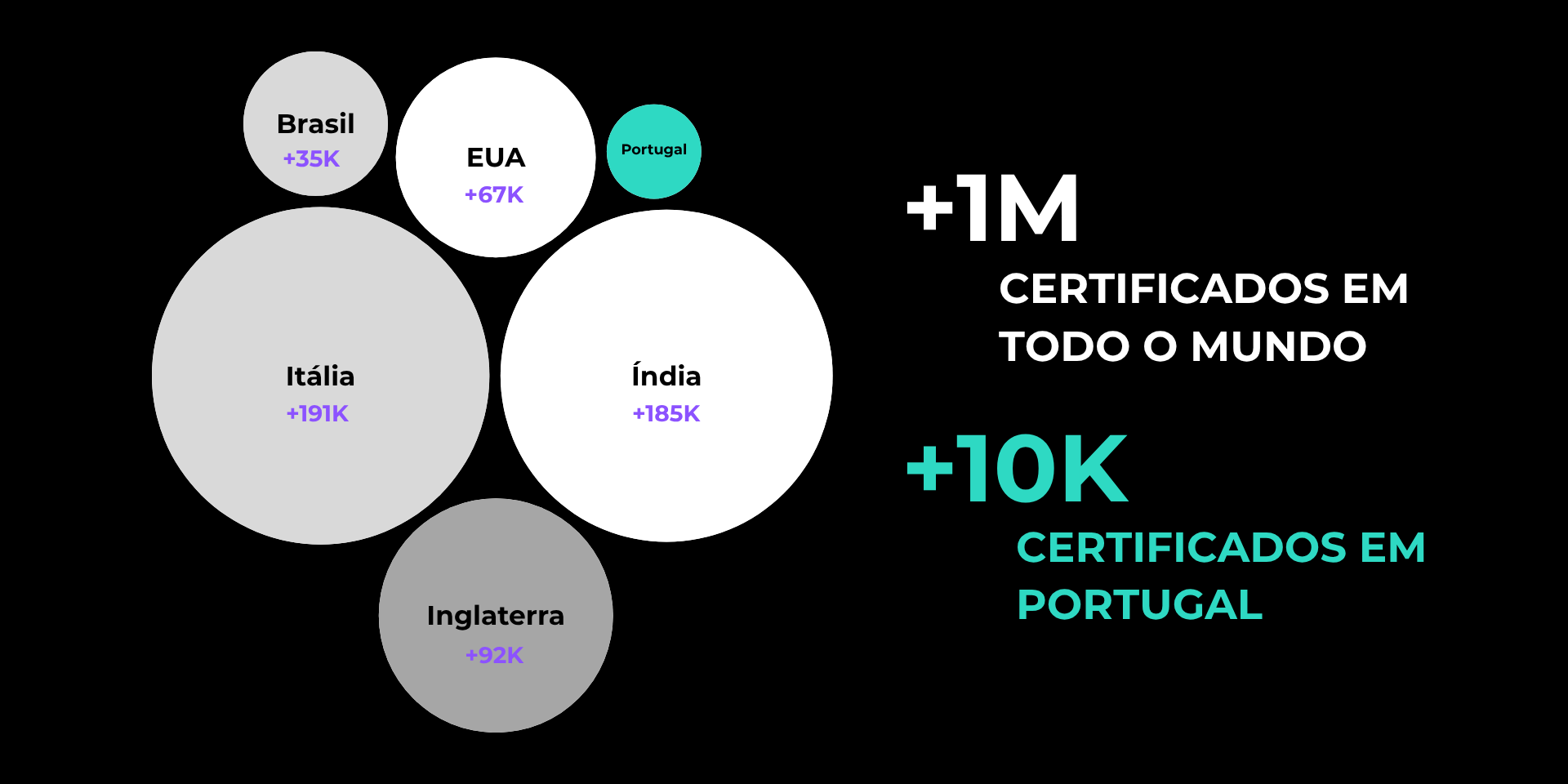 ISO9001 Pantalha 206