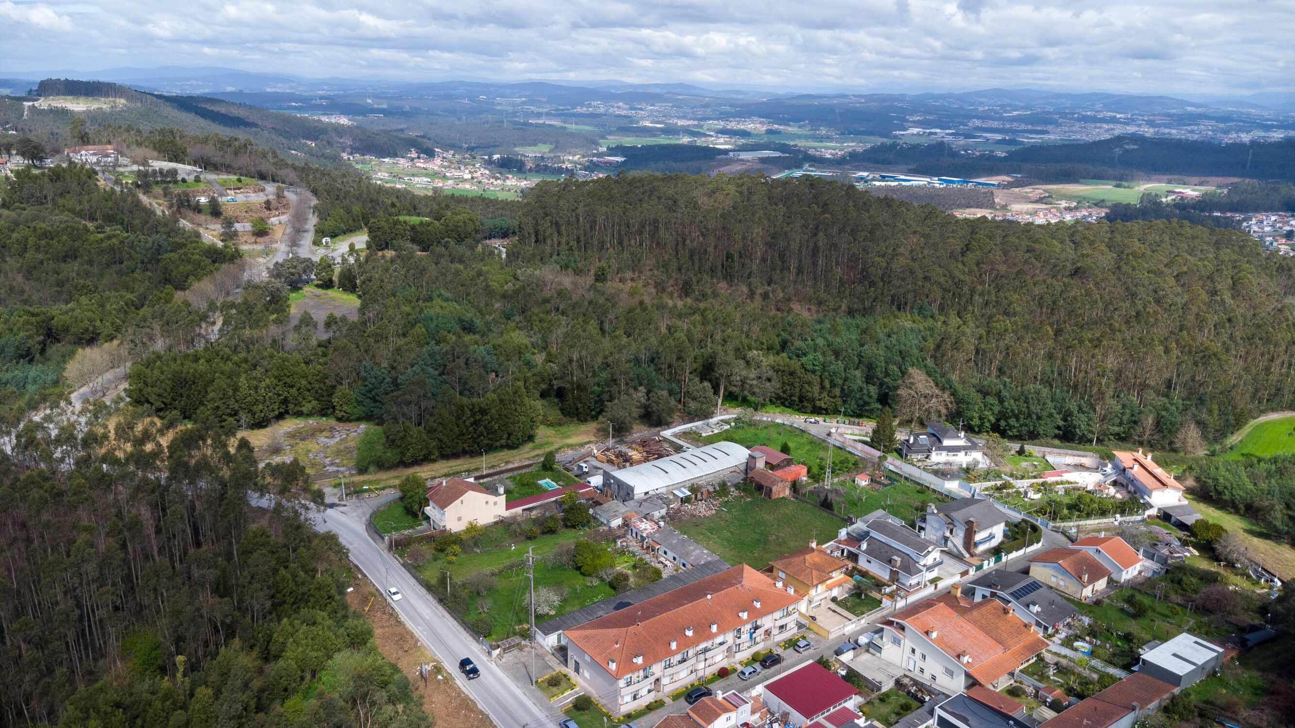 24032025-DJI_0245