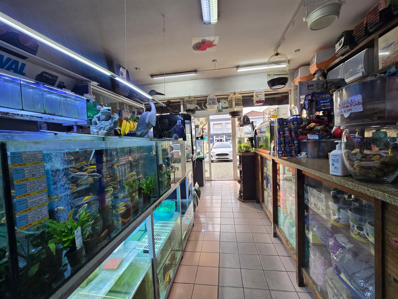 WhatsApp Image 2026-03-12 at 11.54.52 (2)