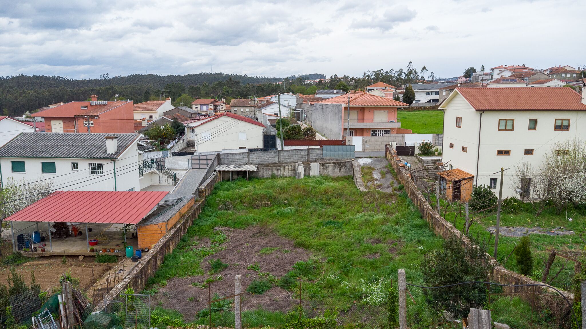 03042025-DJI_0472