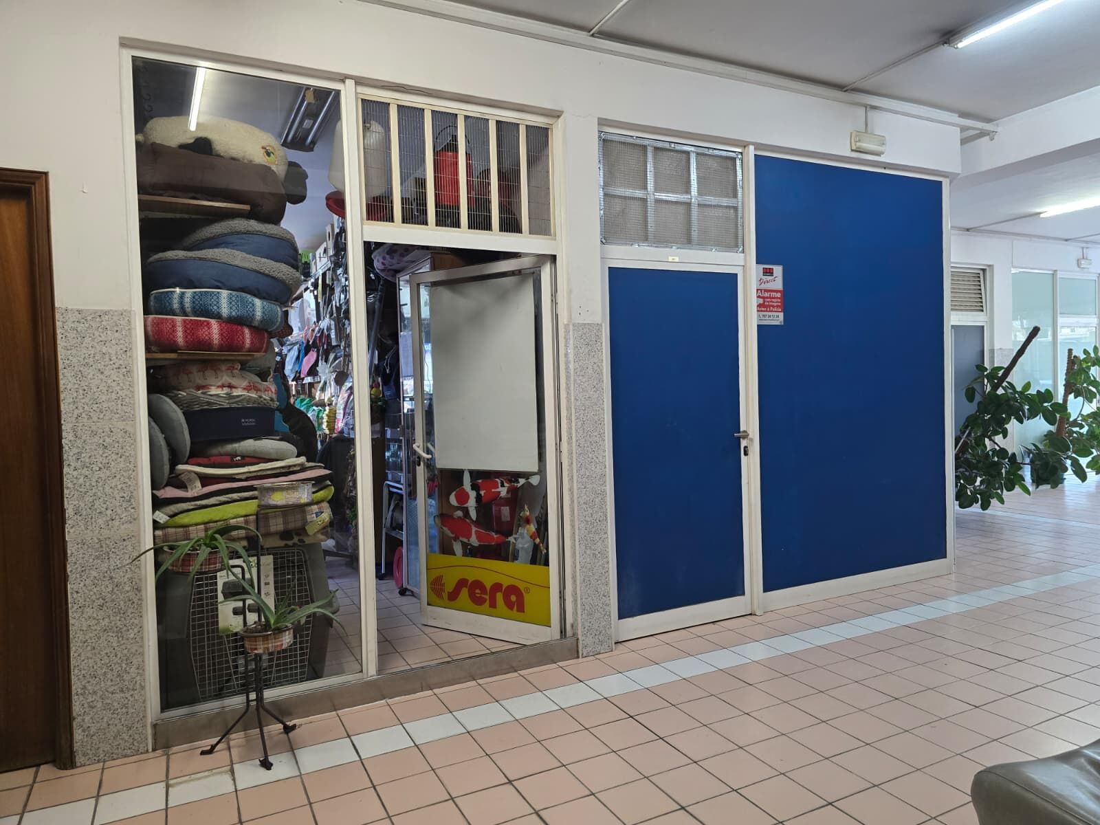 WhatsApp Image 2026-03-12 at 11.54.53 (1)