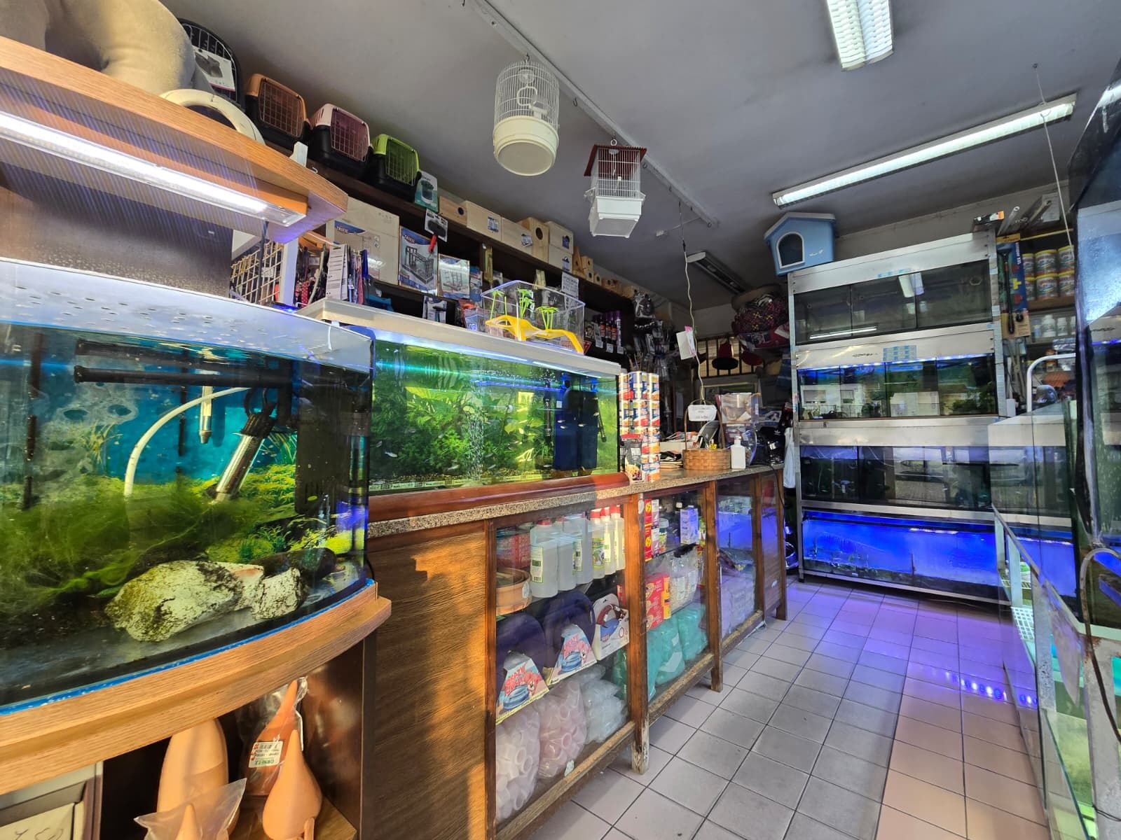 WhatsApp Image 2026-03-12 at 11.54.51