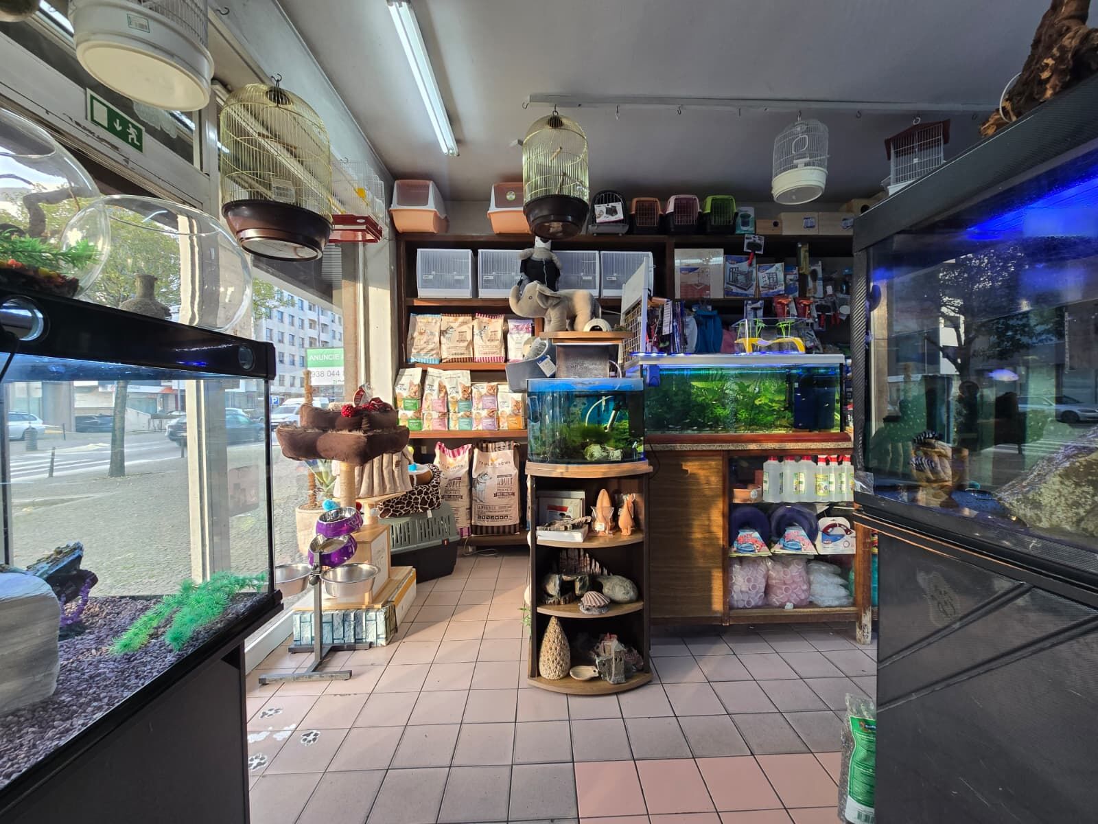 WhatsApp Image 2026-03-12 at 11.54.45