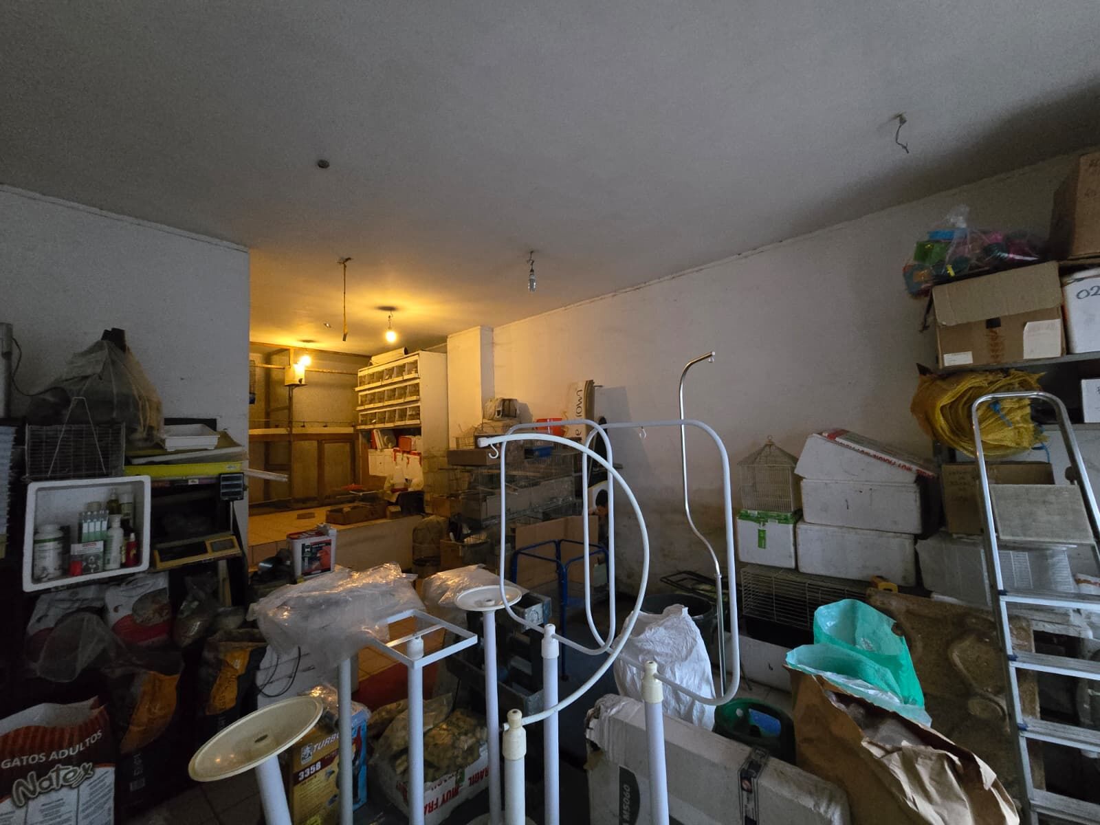 WhatsApp Image 2026-03-12 at 11.54.52 (5)