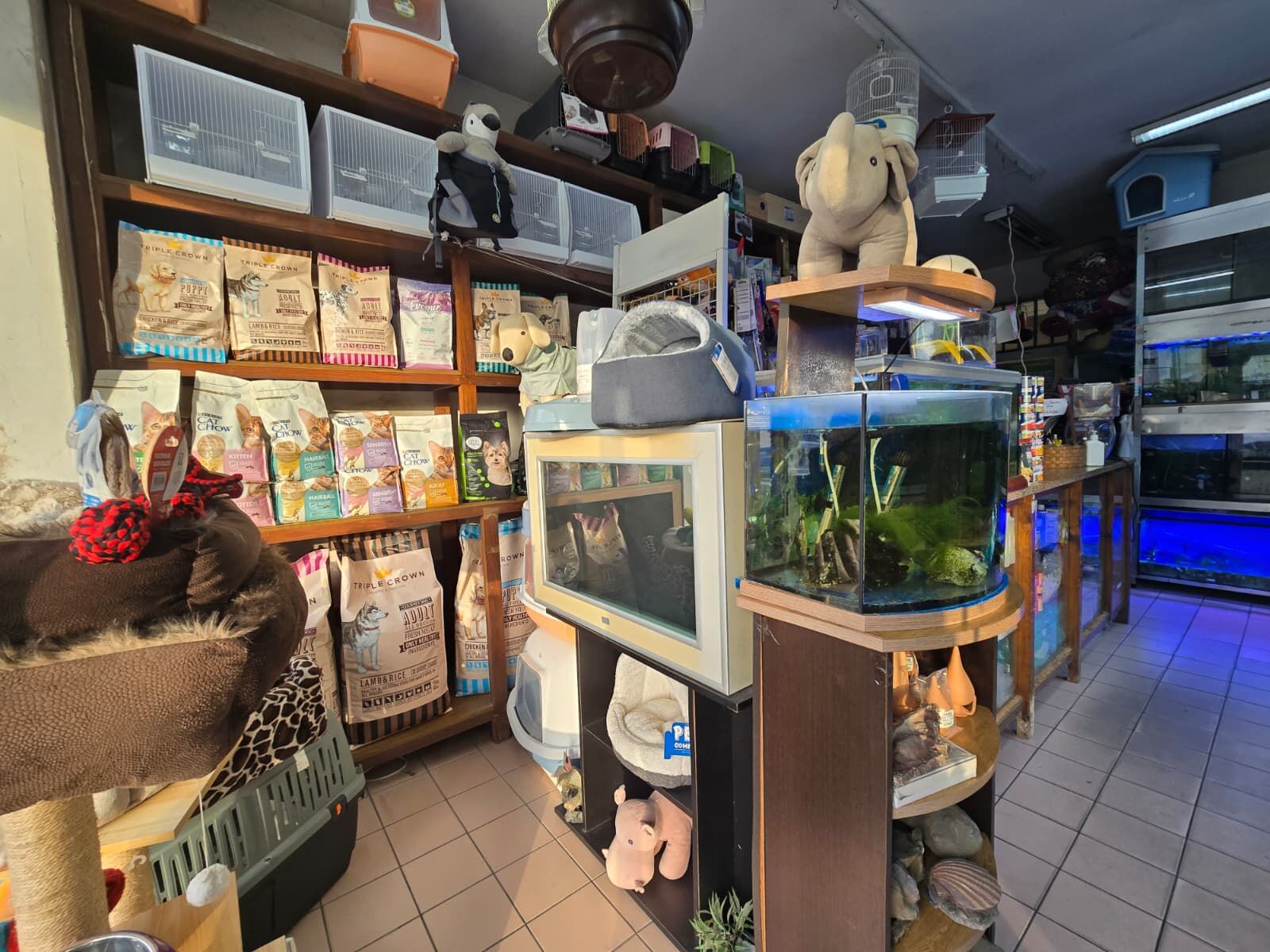 WhatsApp Image 2026-03-12 at 11.54.44 (8)