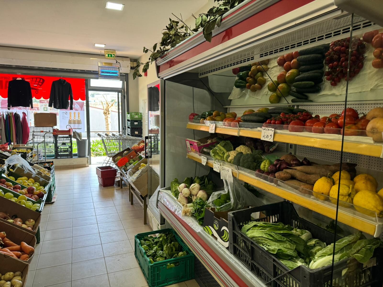 WhatsApp Image 2024-03-12 at 13.12.20