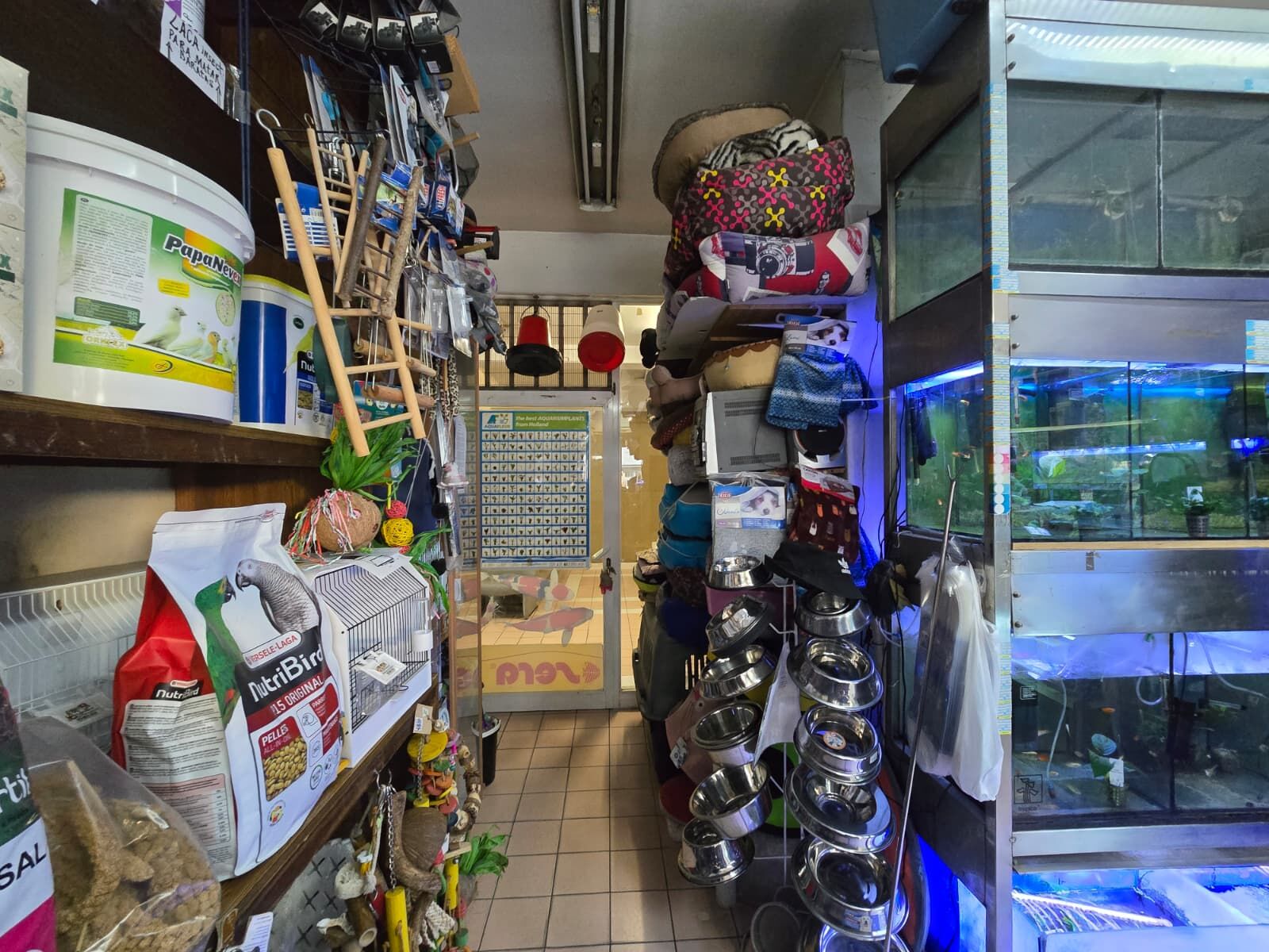 WhatsApp Image 2026-03-12 at 11.54.52 (4)