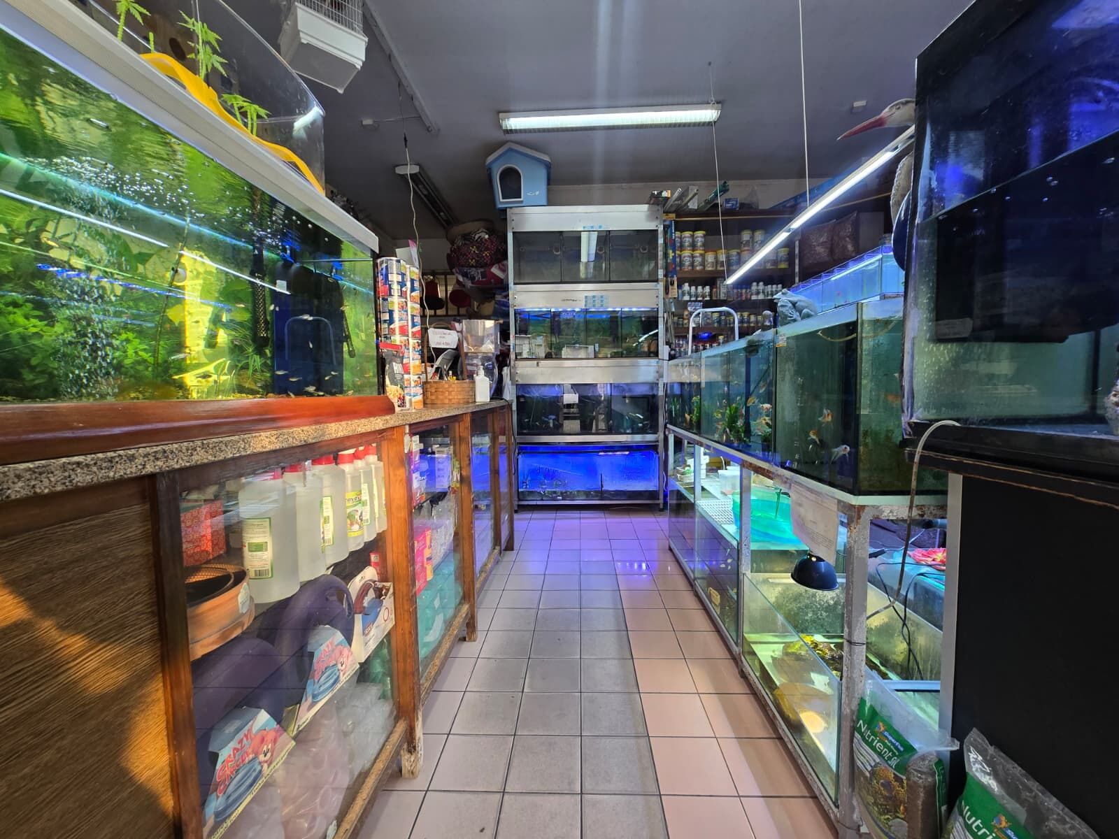 WhatsApp Image 2026-03-12 at 11.54.52