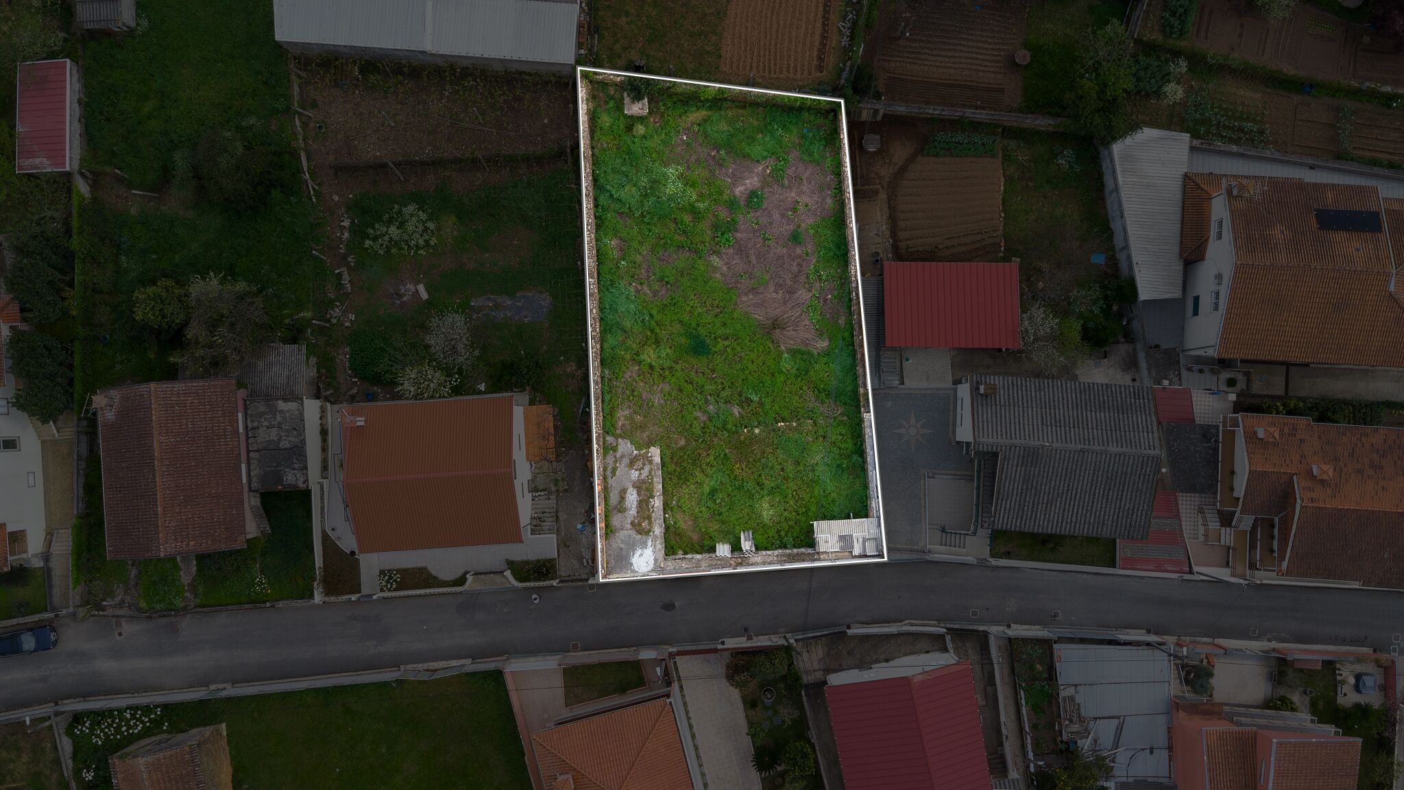 03042025-DJI_0464