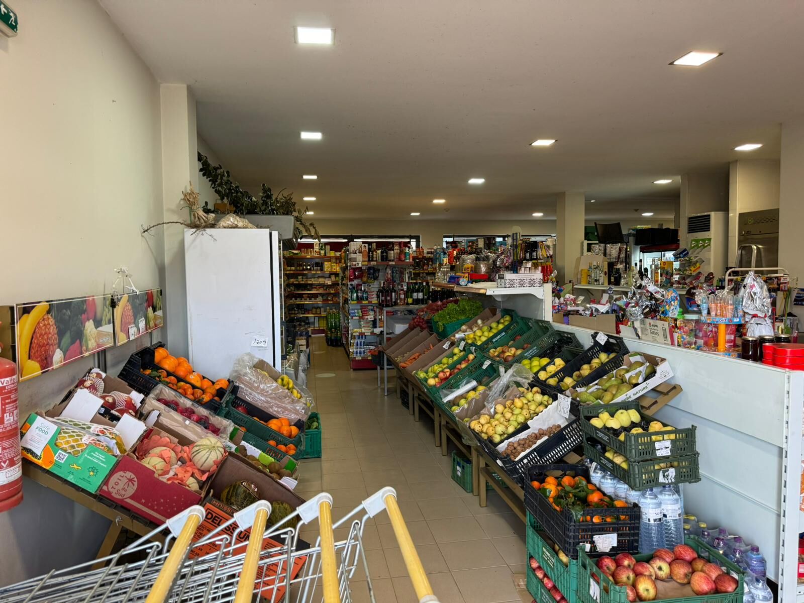 WhatsApp Image 2024-03-12 at 13.12.15 (1)