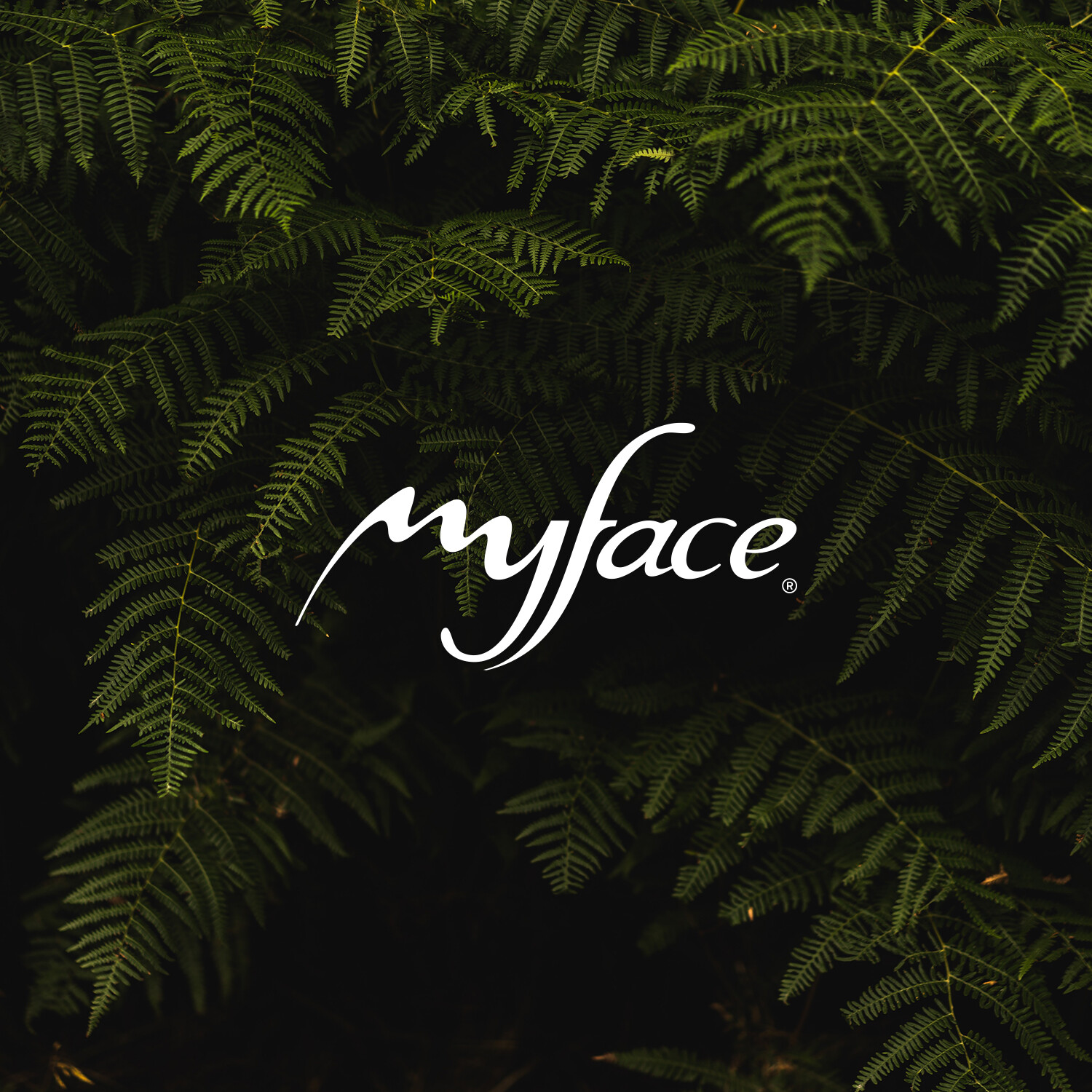 Sustentabilidade e Myface