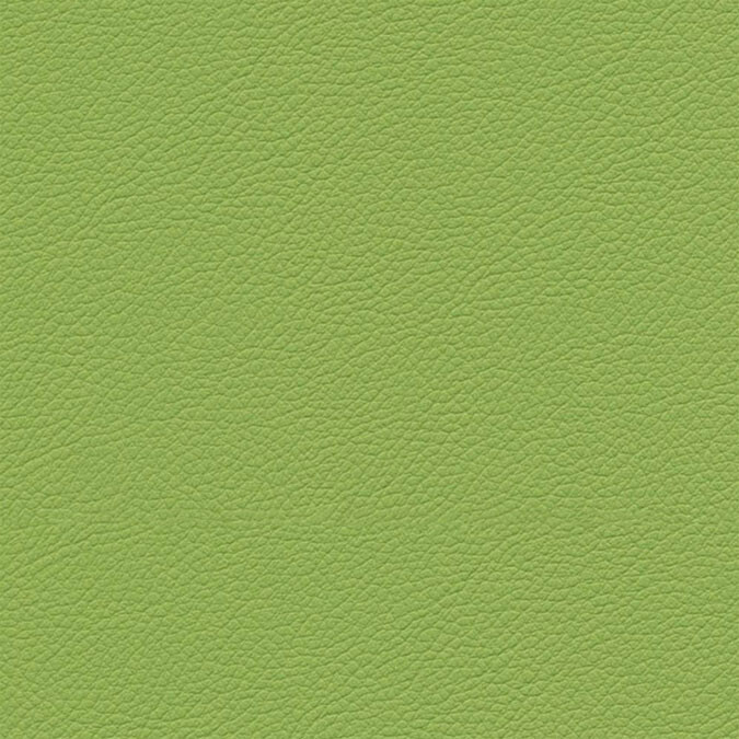 gemini-green