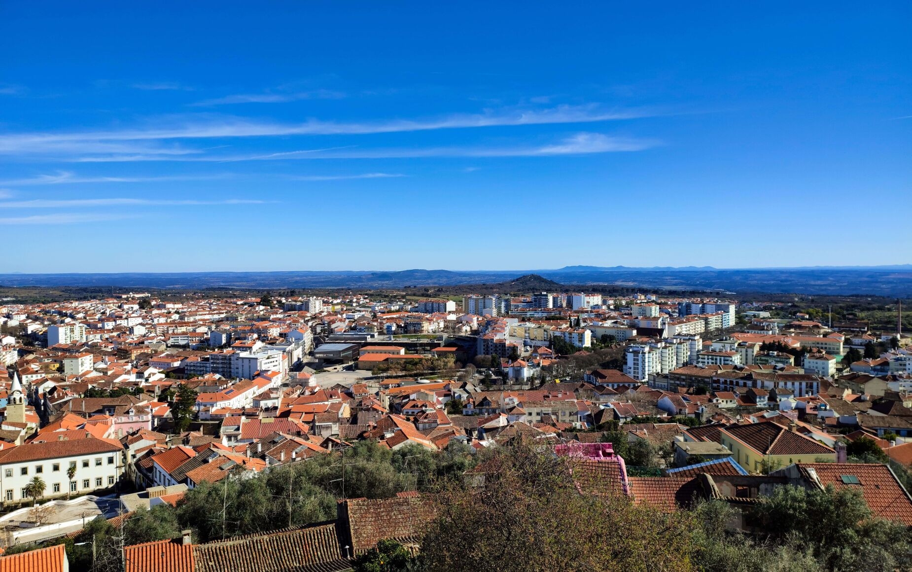 Beira Baixa apresenta roteiro turístico com 20 sugestões para a Primavera