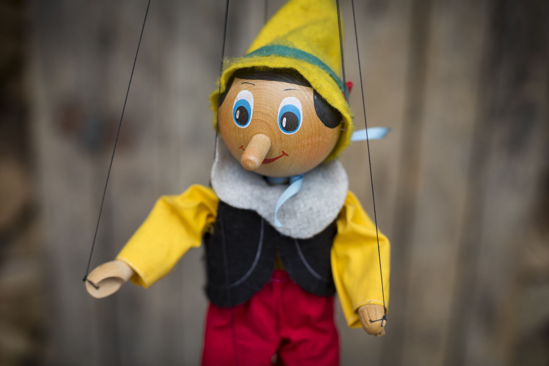 Gosta de marionetas? Festival Internacional de Marionetas inicia-se hoje, no Porto