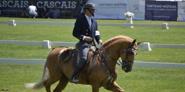 festival lusitano
