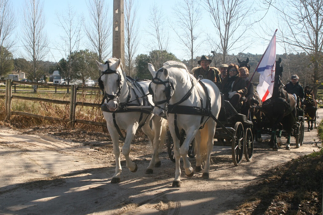 Passeio Atrelagem