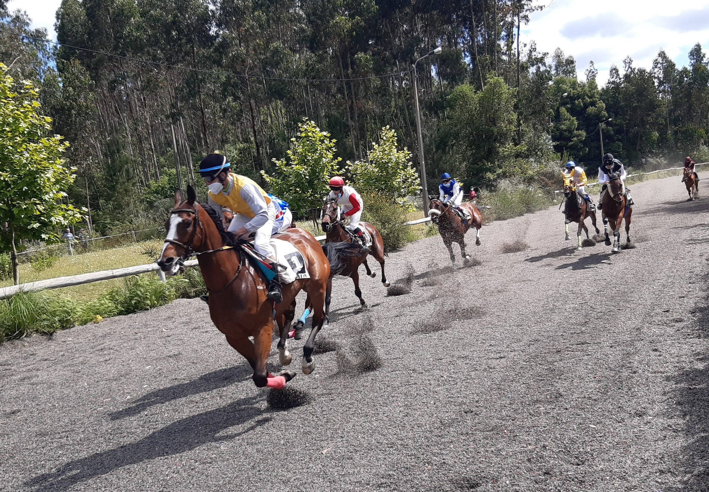 Maia Jornada 1