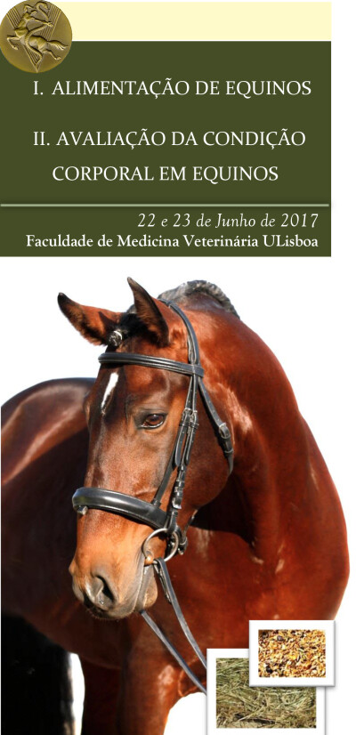 Formações sobre equinos na FMV