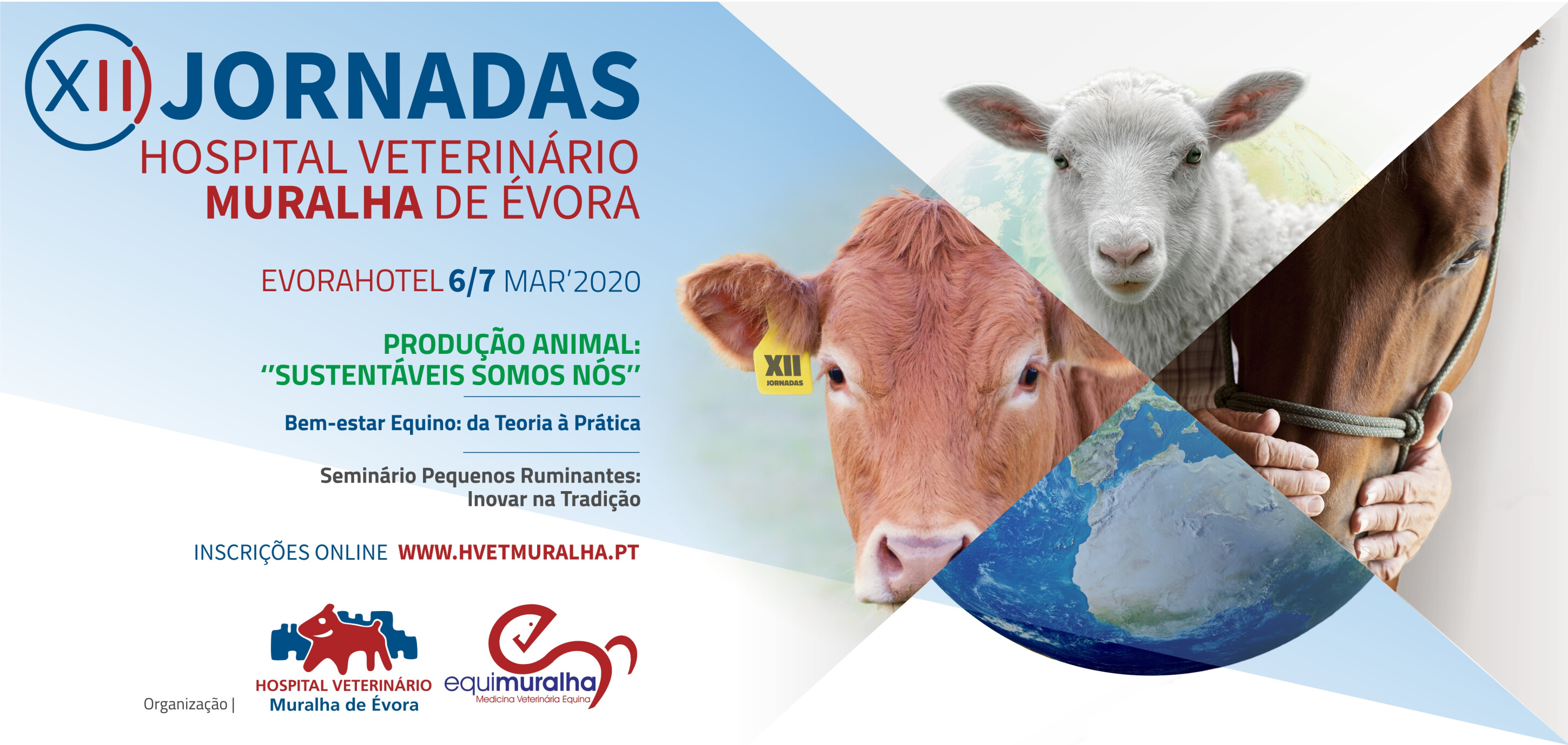 Banner Jornadas HVME