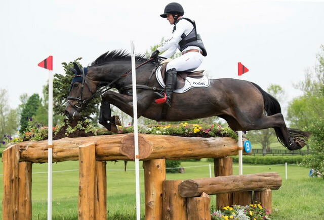 Michael Jung_FischerRocana FST_FEI_Rebecca Berry.jpg