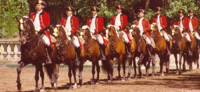 EPAE homenageia antigos cavaleiros